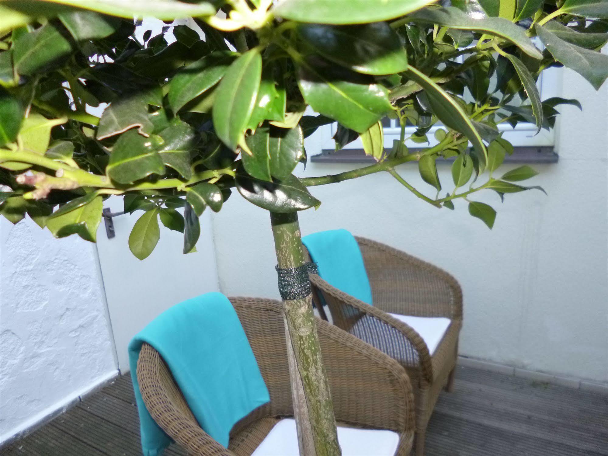 Hotel Walserwirt Εξωτερικό φωτογραφία